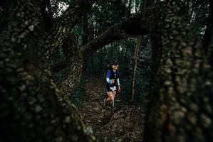 BIB: 
                            <button type="button" onclick="openModal(25676774)" class="btn btn-primary btn-sm float-right btn-popup" data-toggle="modal" data-target=".modal-high-quality">
                        <i class="fas fa-shopping-cart"></i> Add to Cart
                    </button>
                                            <button type="button" onclick="isThisMe(25676774, true)" class="btn btn-success btn-sm float-right btn-popup btn-isme hidden" data-toggle="tooltip" data-placement="bottom" title="นี่คือรูปของคุณใช่ไหม คลิกที่นี่เพื่อเอาเข้าอัลบั้ม">
                        <i class="fas fa-plus"></i> Add to album
                    </button>
                    <button type="button" onclick="isThisMe(25676774, false)" class="btn btn-warning btn-sm float-right btn-popup btn-isnotme hidden">
                        <i class="fas fa-ban"></i> Remove from album
                    </button>